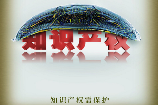 知识产权.jpg