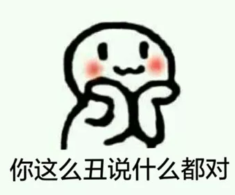 你这么丑说什么都对.png